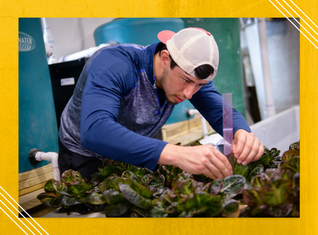 A student working in the Agricultural Center.